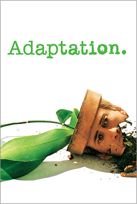 adaptation
